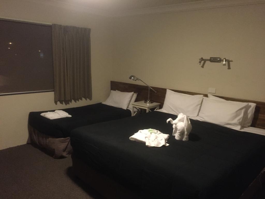Murray Valley Motel Вудонга Екстериор снимка
